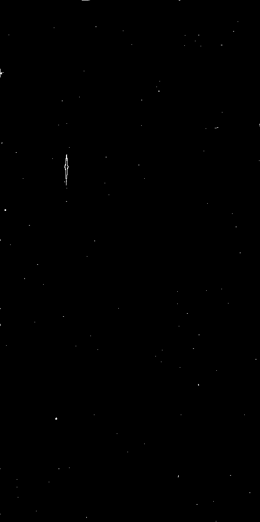 Preview of Cal-JMCFARLAND-OMEGACAM-------OCAM_g_SDSS-ESO_CCD_#65---Cosm-Pix-56102.0018263-ed6adc5ab955cb5d1574b9a9e05acc6876afde1e.fits.gz