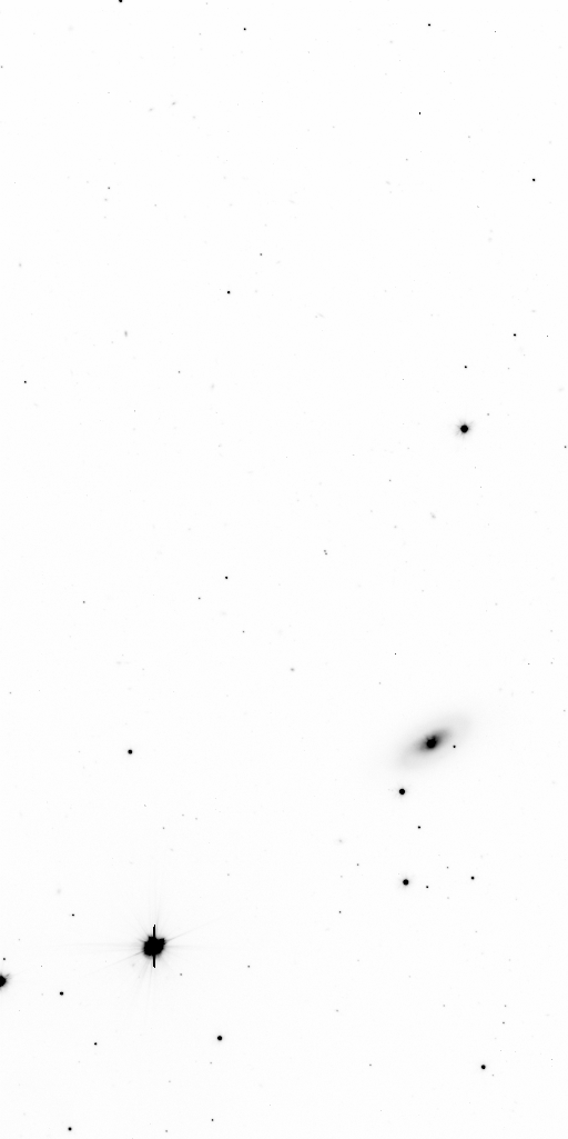 Preview of Sci-JMCFARLAND-OMEGACAM-------OCAM_g_SDSS-ESO_CCD_#66-Red---Sci-56563.4217342-267a298926cd0b19568c7fa96136571270720e01.fits