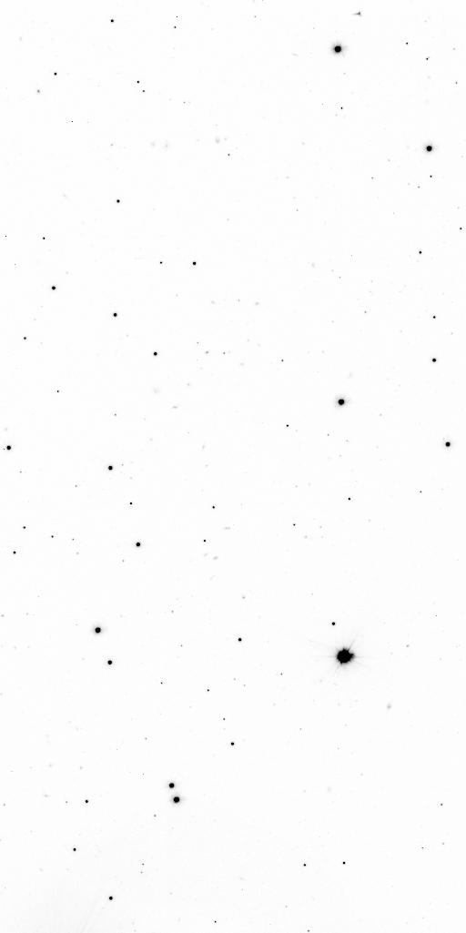 Preview of Sci-JMCFARLAND-OMEGACAM-------OCAM_g_SDSS-ESO_CCD_#88-Red---Sci-56561.3198069-c0da14dc722c6ce7aeee50825db02df2e90de51a.fits