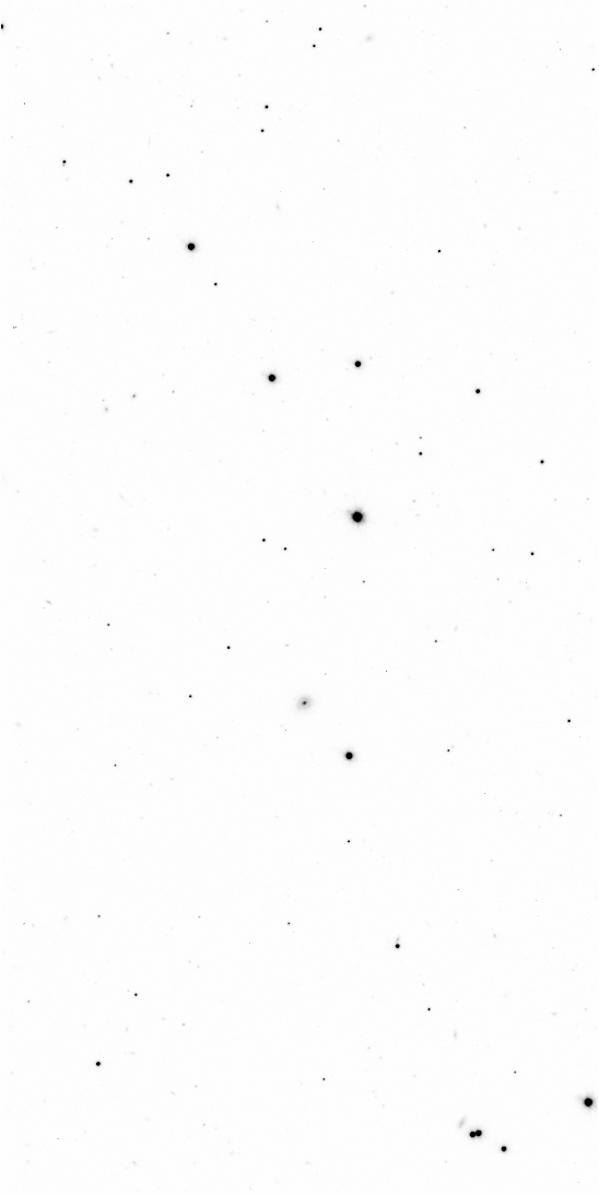 Preview of Sci-JMCFARLAND-OMEGACAM-------OCAM_g_SDSS-ESO_CCD_#88-Regr---Sci-56647.2449541-43d4241b073328b25988e6137d81b02871c62e8e.fits