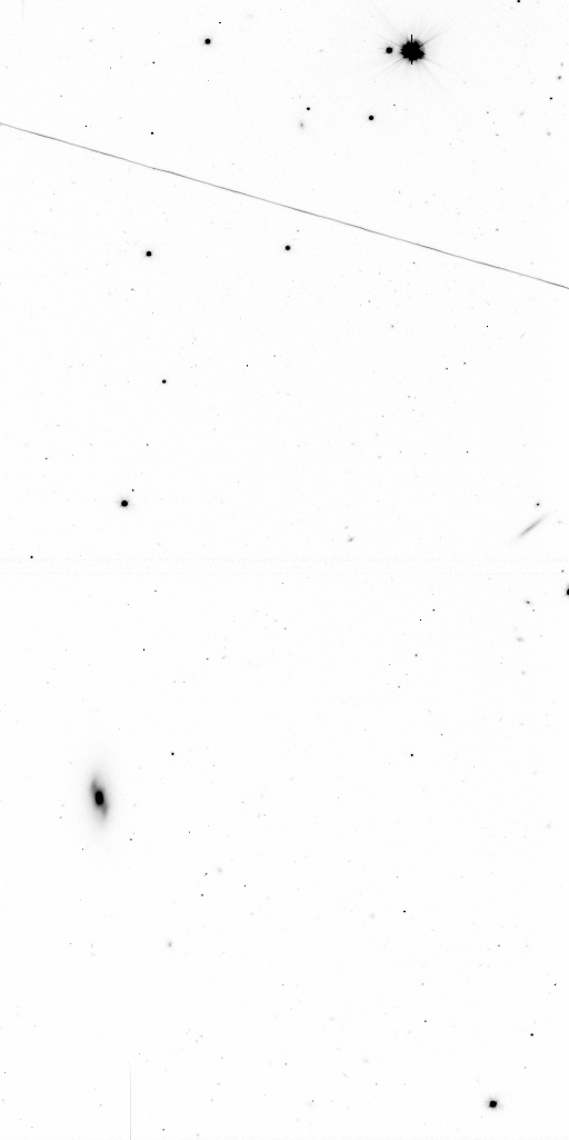 Preview of Sci-JMCFARLAND-OMEGACAM-------OCAM_g_SDSS-ESO_CCD_#96-Red---Sci-57332.6664692-1e98737c17460554b4097f1fab31a1318ac15f14.fits